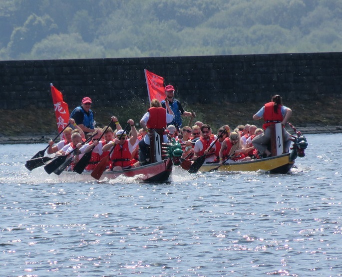 bh dragons winners stubbins sharks