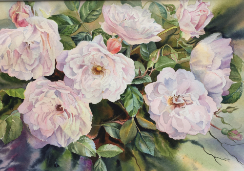 Rose the Generous Gardener