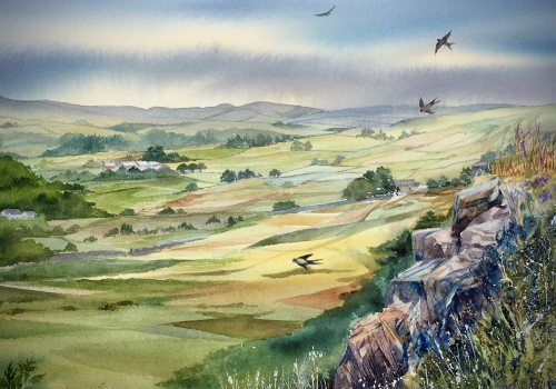 Swallows over Cheetham Close