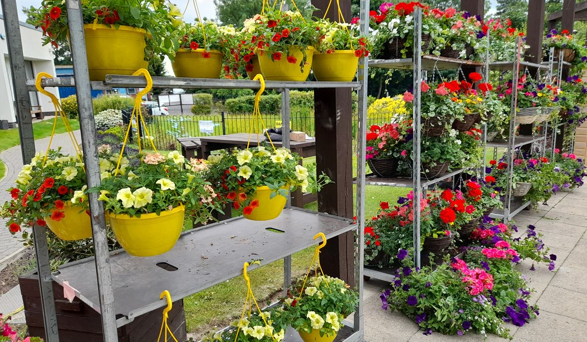 Pop-Up Plant Shop Offers Peace and Tranquillity